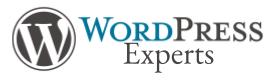 A professional logo reading "WordPress Experts," featuring the WordPress emblem in blue and black, symbolizing premier website design services in Miami, Florida.